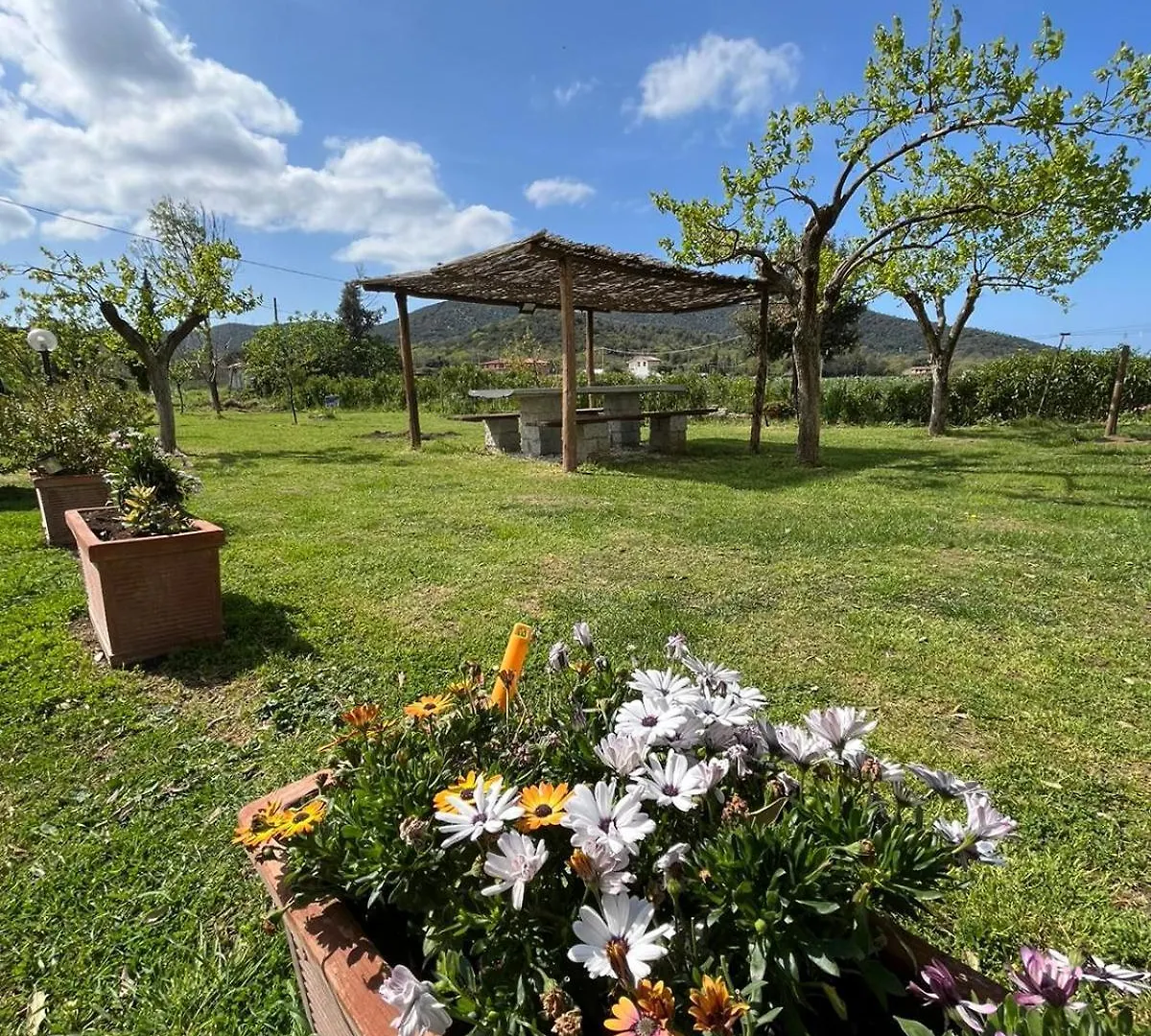 Villa Bivio di punta ala Pian d'Alma Casa vacanze